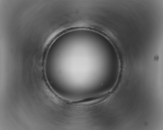 X0000113271216200909171706