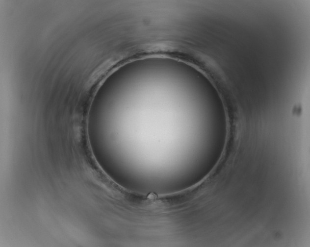 X0000113271217200909171706