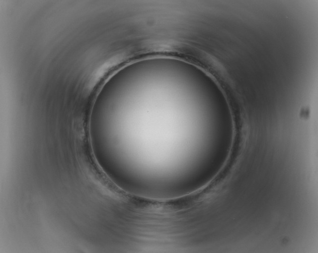 X0000113271218200909171706
