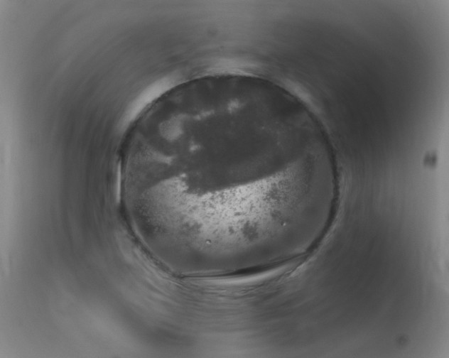 X0000113271219200909171706