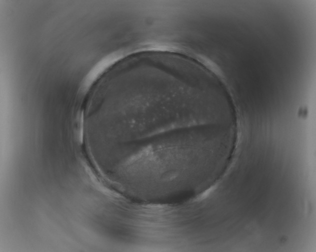 X0000113271223200909171706