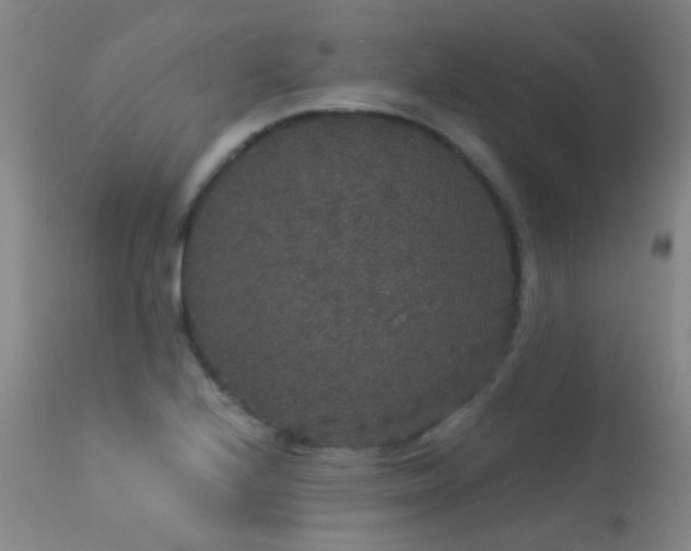 X0000113271224200909171706