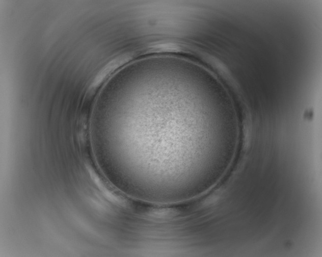 X0000113271225200909171706