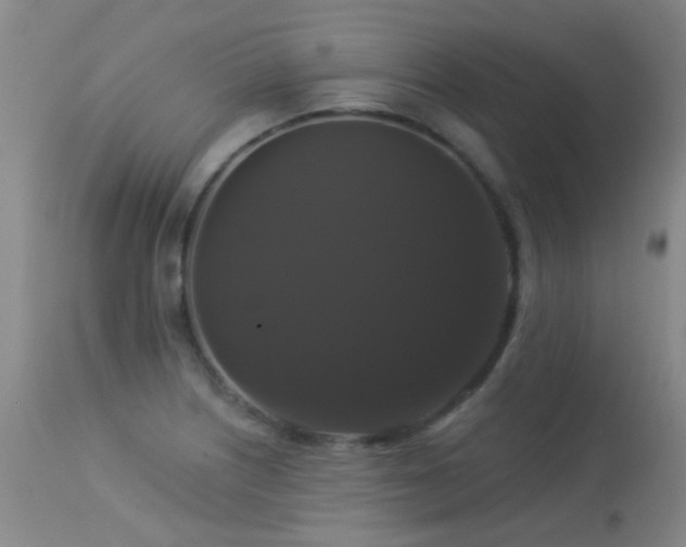 X0000113271226200909171706