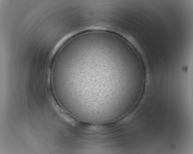 X0000113271232200909171706