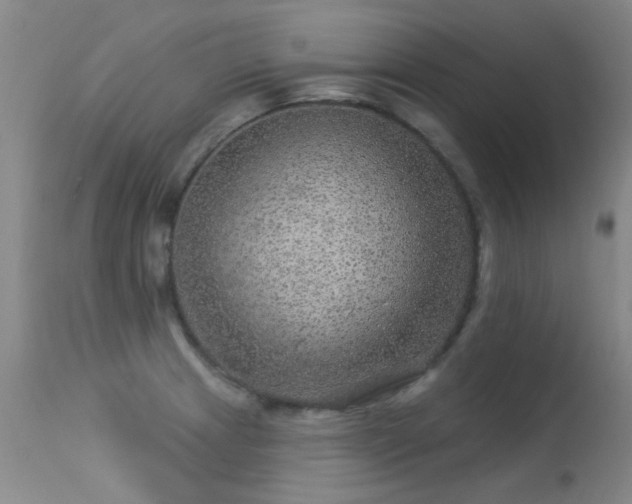 X0000113271233200909171706