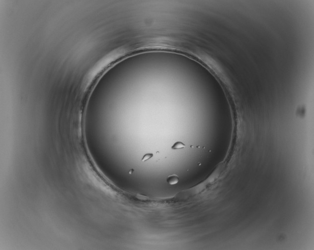 X0000113271238200909171706