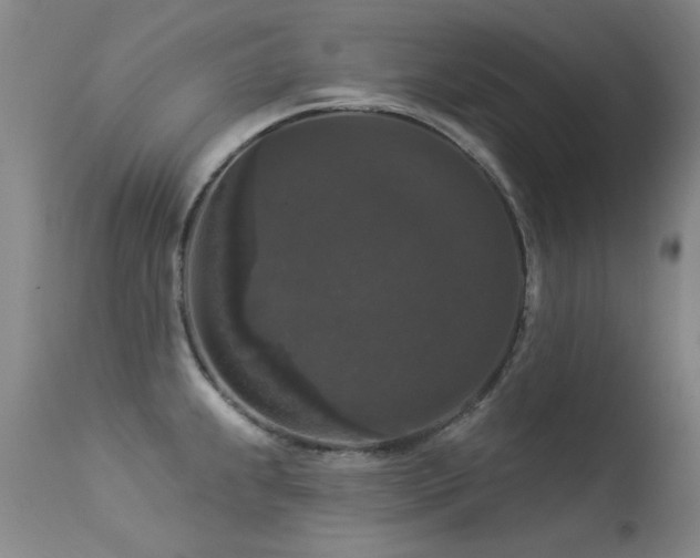 X0000113271239200909171706
