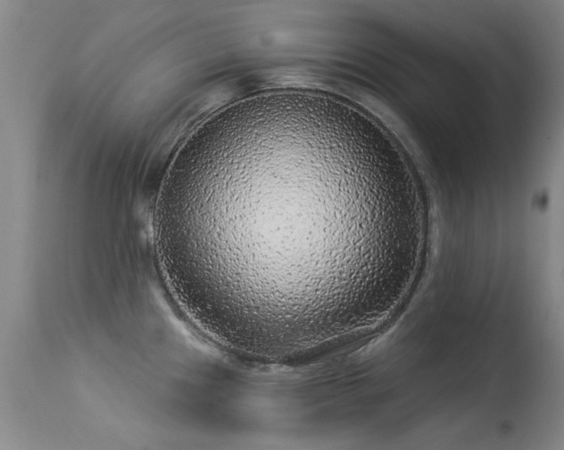 X0000113271241200909171706