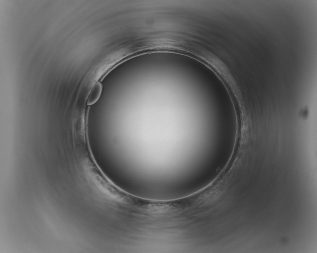 X0000113271242200909171706