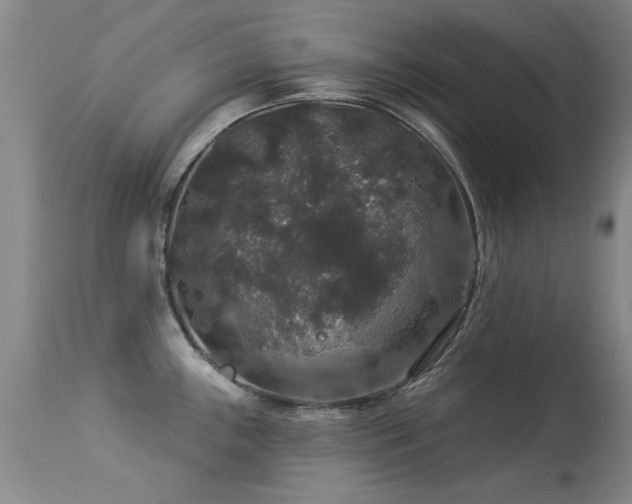 X0000113271243200909171706