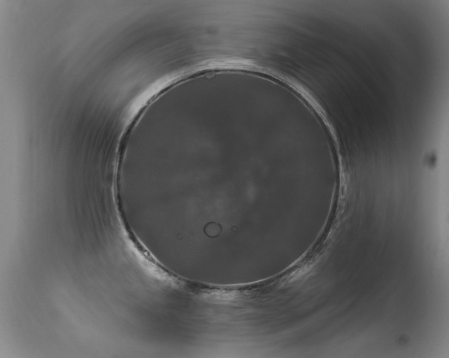 X0000113271245200909171706