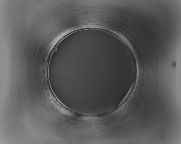 X0000113271246200909171706