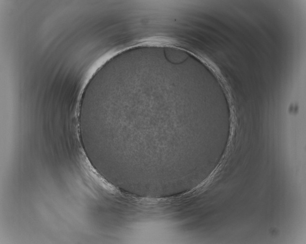 X0000113271248200909171706