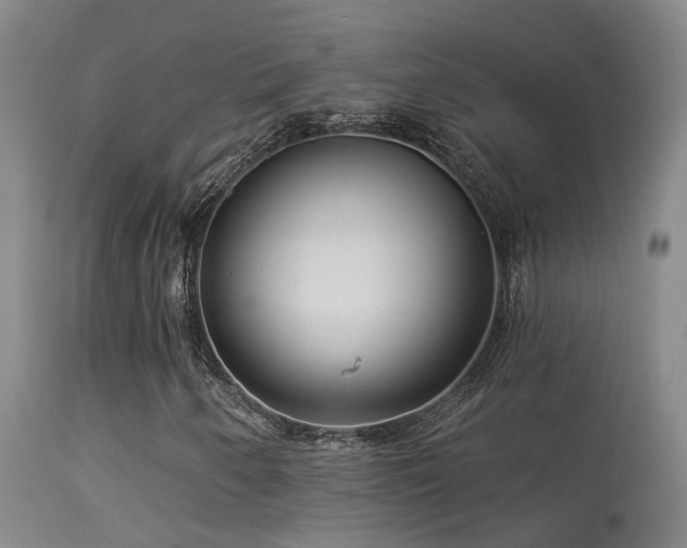 X0000113271250200909171705