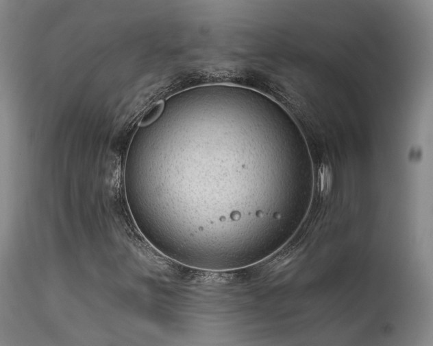 X0000113271251200909171705