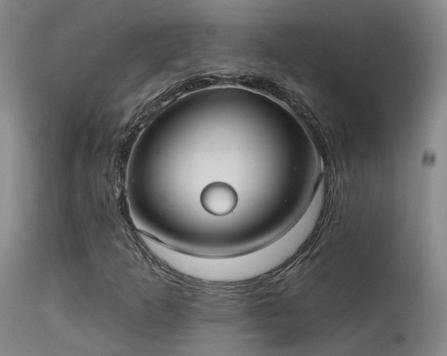 X0000113271253200909171705