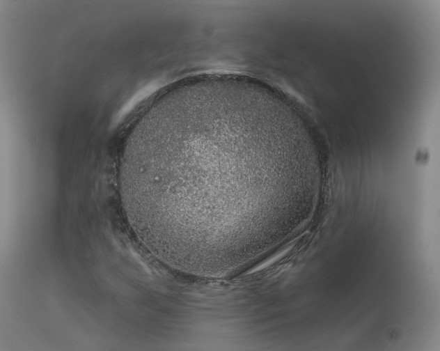 X0000113271255200909171705