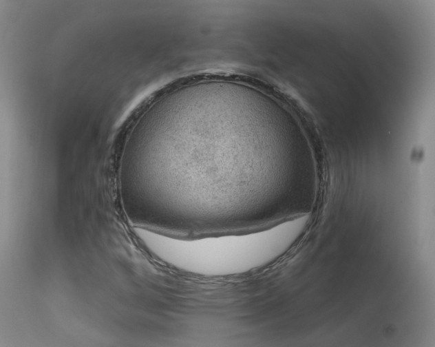 X0000113271256200909171705