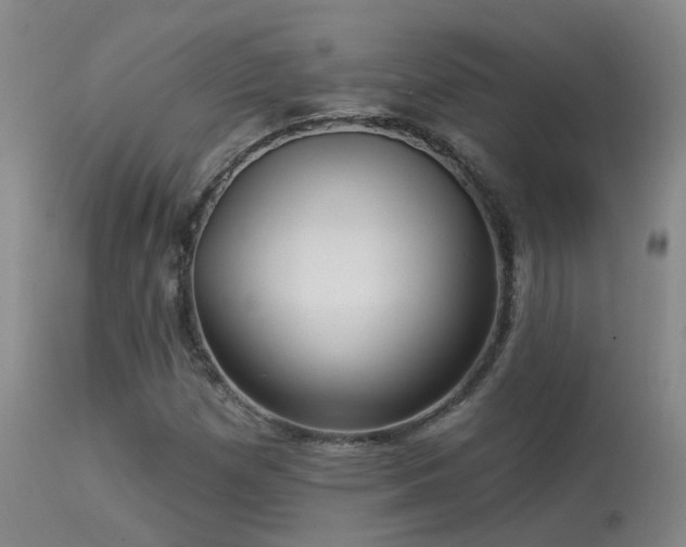 X0000113271257200909171705