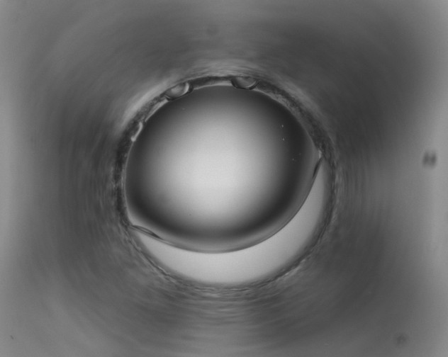 X0000113271261200909171705