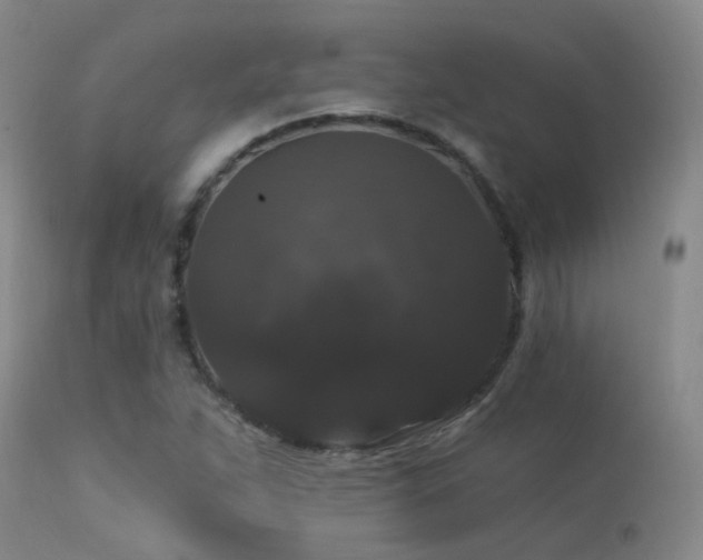 X0000113271263200909171705