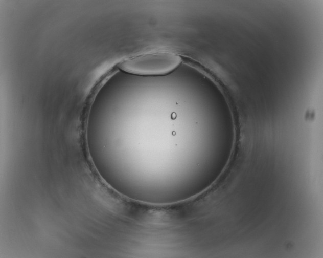 X0000113271264200909171705