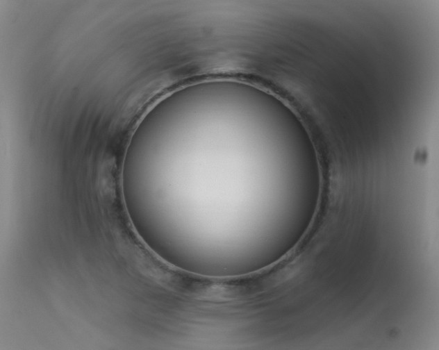 X0000113271265200909171705
