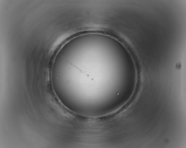 X0000113271267200909171705