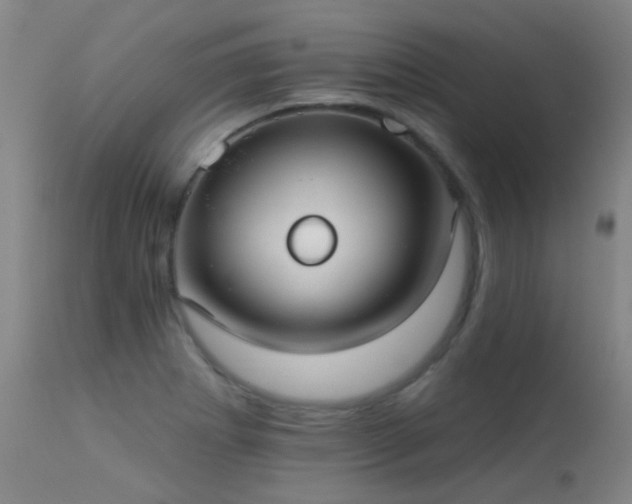 X0000113271273200909171705