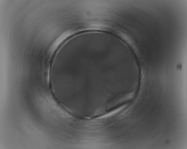 X0000113271275200909171705