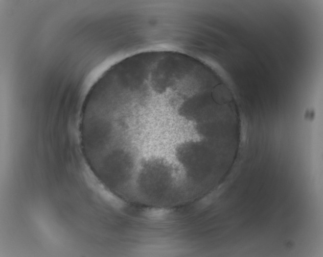 X0000113271278200909171705