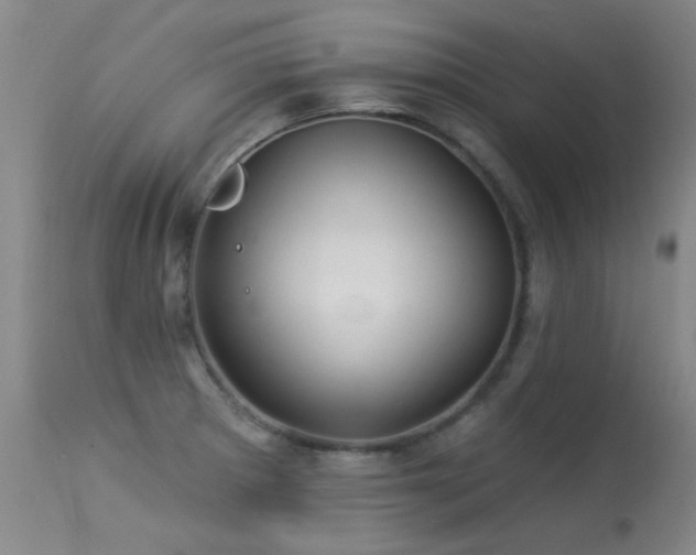 X0000113271281200909171705