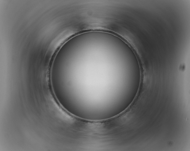 X0000113271285200909171705