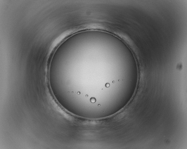 X0000113271286200909171705