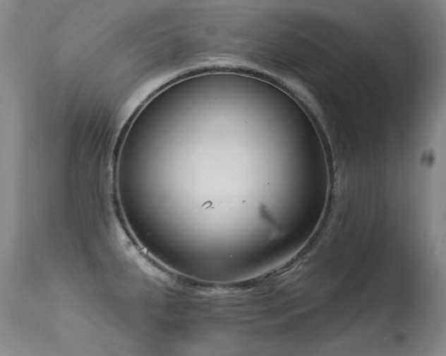 X0000113271287200909171705