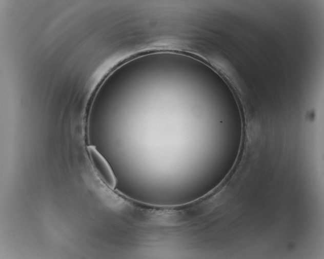 X0000113271288200909171705