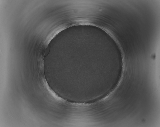 X0000113271289200909171705