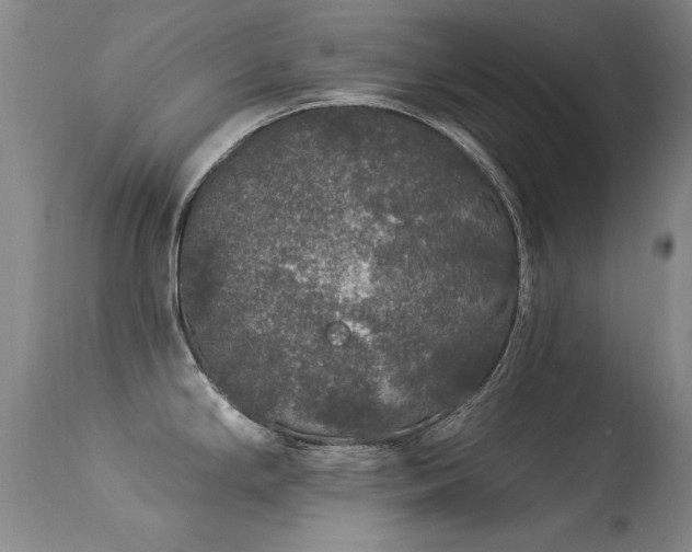 X0000113271294200909171705