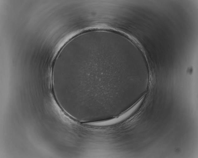 X0000113271295200909171705
