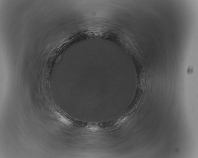 X0000113271297200909171704