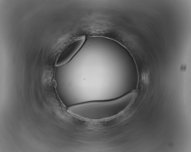 X0000113271300200909171704