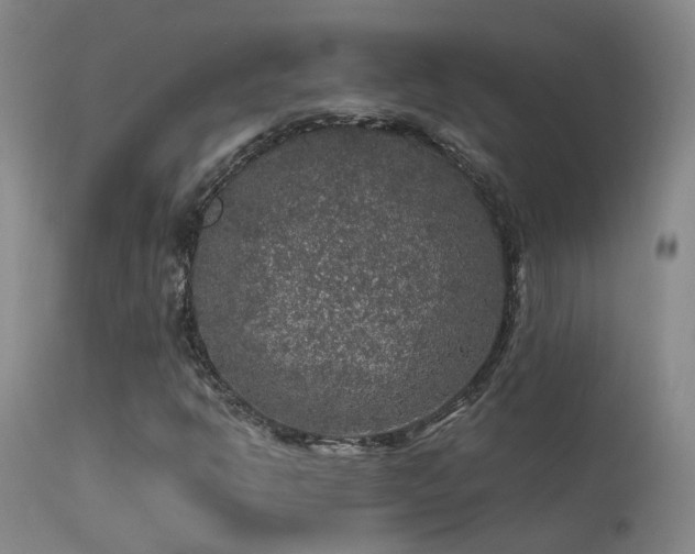 X0000113271302200909171704