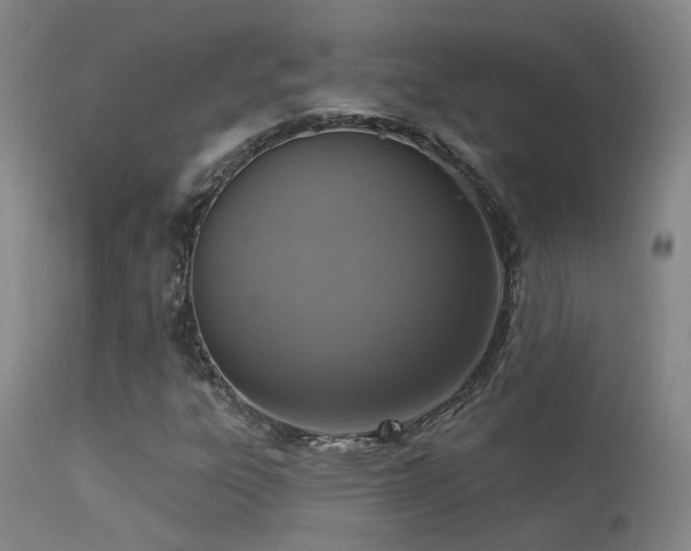 X0000113271303200909171704