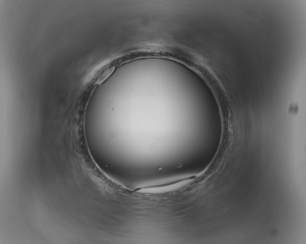 X0000113271304200909171704