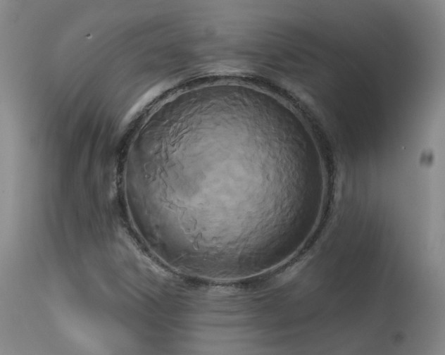 X0000113271306200909171704