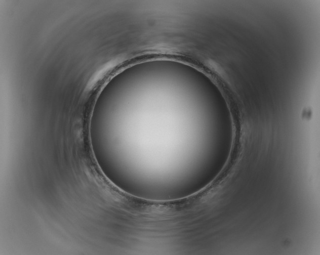 X0000113271307200909171704