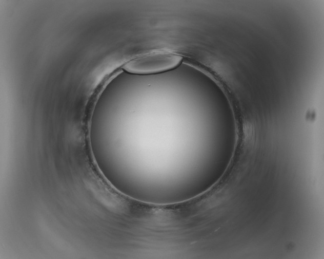 X0000113271308200909171704