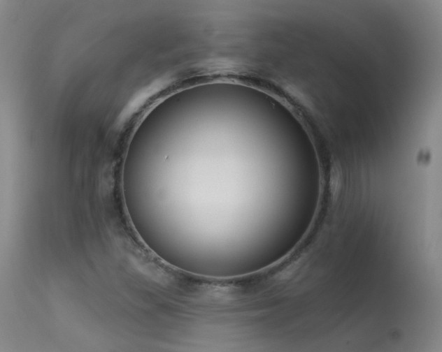 X0000113271309200909171704