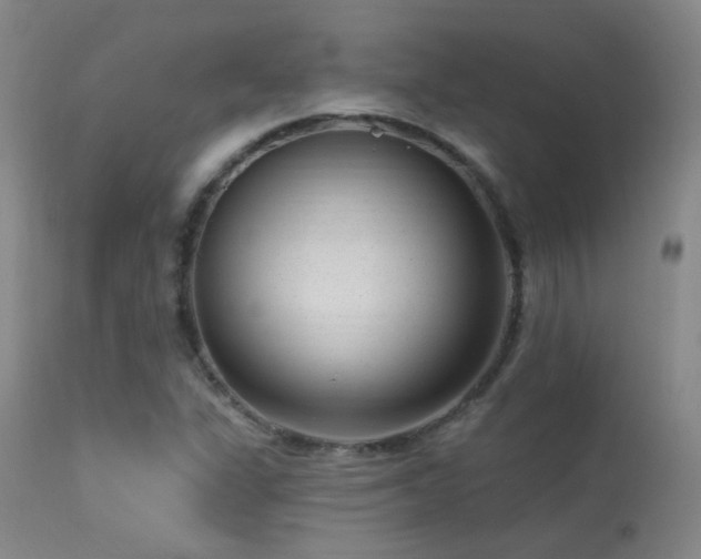 X0000113271311200909171704